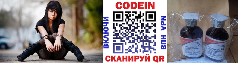 Купить закладки  Полесск  Кодеиновый сироп Lean напиток Lean (лин) 