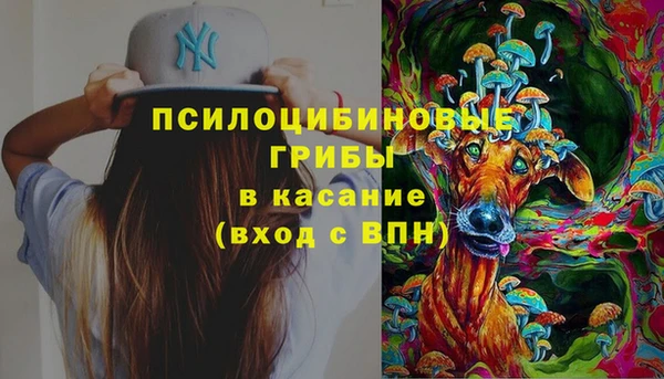 mdpv Куйбышев