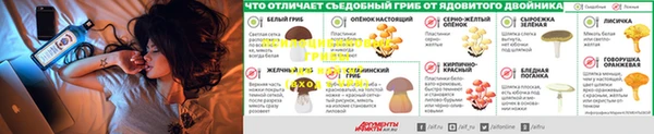 мдма Кукмор
