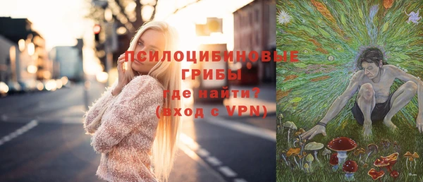 мдпв Лабытнанги