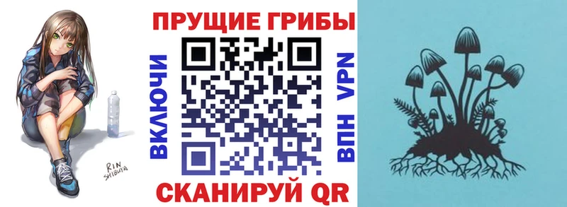 Купить  Полесск  Галлюциногенные грибы Magic Shrooms 