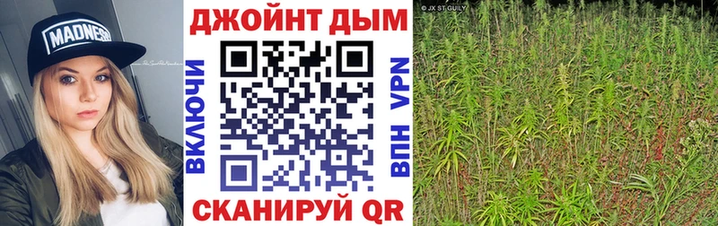 Канабис сатива Полесск